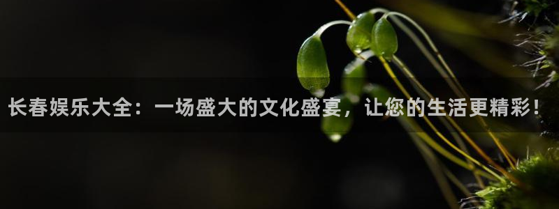 星辉平台注册网站链接：长春娱乐大全：一场盛大的文化盛宴，让您的生活更精彩！