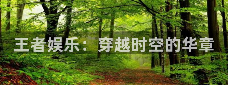 星辉平台：王者娱乐：穿越时空的华章
