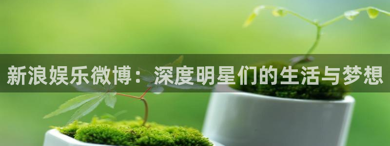 壹号下载安装：新浪娱乐微博：深度明星们的生活与梦想