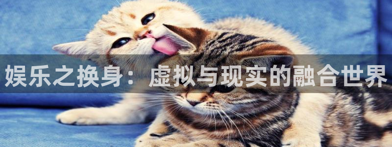 星辉平台是什么：娱乐之换身：虚拟与现实的融合世界