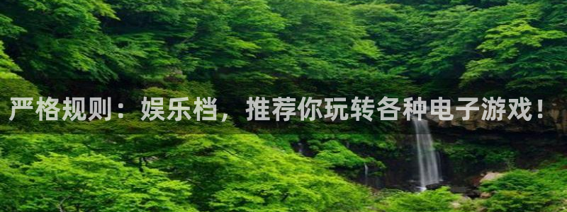 星辉平台官方网站：严格规则：娱乐档，推荐你玩转各种电子游戏！