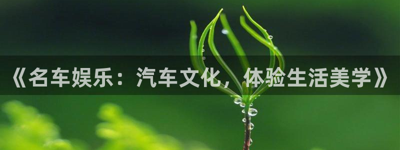星辉平台是大平台吗：《名车娱乐：汽车文化，体验生活美学》