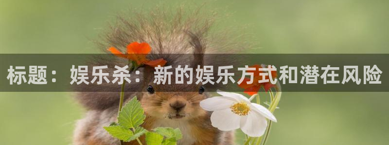 壹号大舞台28国际大舞台：标题：娱乐杀：新的娱乐方式和潜在风险