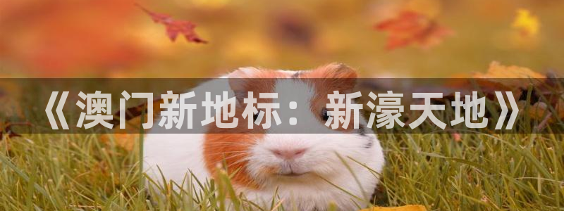 星辉平台注册链接：《澳门新地标：新濠天地》