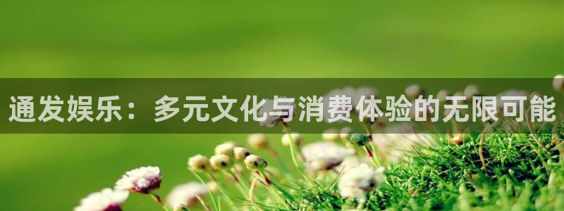 星辉平台官网下载：通发娱乐：多元文化与消费体验的无限可能