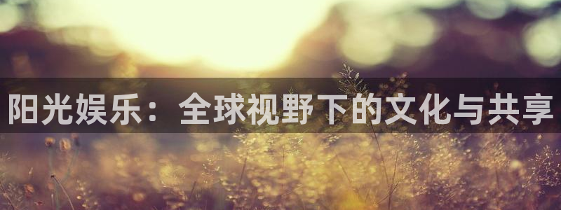 星辉平台平台注册：阳光娱乐：全球视野下的文化与共享