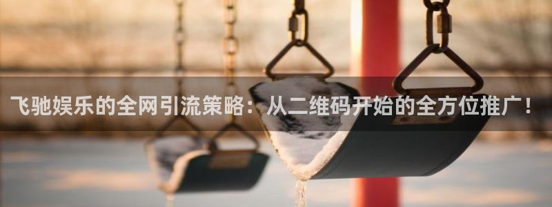 星辉平台登录网：飞驰娱乐的全网引流策略：从二维码开始的全方位推广！