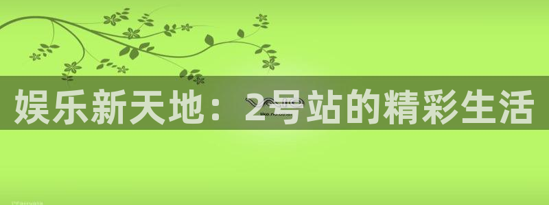 星辉平台app官网下载苹果：娱乐新天地：2号站的精彩生活