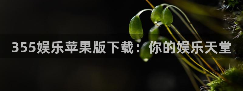 星辉平台游戏官网平台入口：355娱乐苹果版下载：你的娱乐天堂