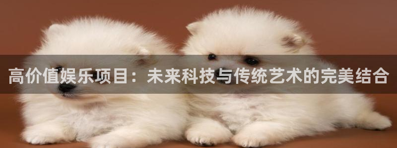 星辉平台游戏官网版：高价值娱乐项目：未来科技与传统艺术的完美结合