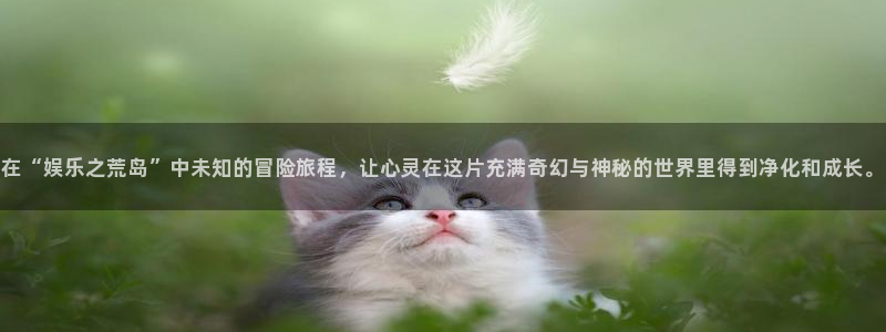 星辉平台放水时间：在“娱乐之荒岛”中未知的冒险旅程，让心灵在这片充满奇幻与神秘的世界里得到净化和成长。