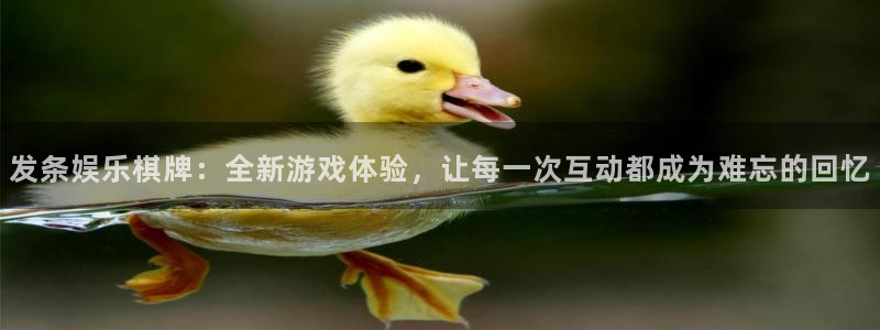 壹号平台下载安装官网：发条娱乐棋牌：全新游戏体验，让每一次互动都成为难忘的回忆