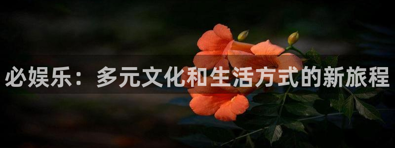 星辉平台是什么平台：必娱乐：多元文化和生活方式的新旅程