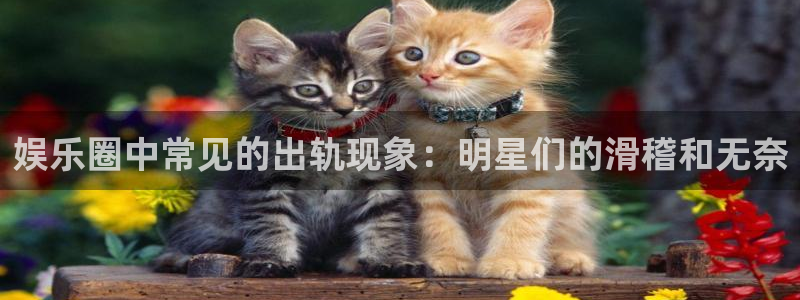 星辉平台注册官网入口：娱乐圈中常见的出轨现象：明星们的滑稽和无奈