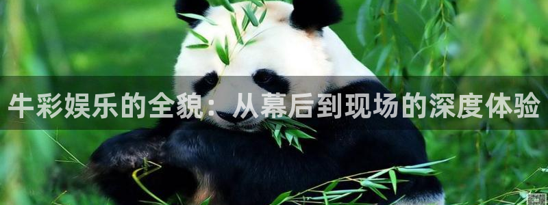 星辉平台app下载：牛彩娱乐的全貌：从幕后到现场的深度体验