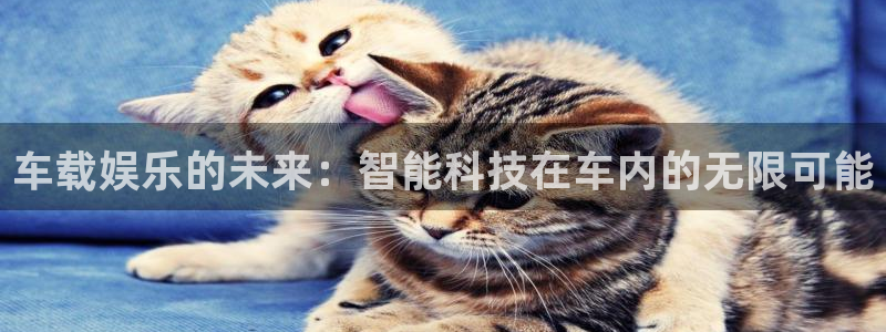 壹号注册入口app下载：车载娱乐的未来：智能科技在车内的无限可能