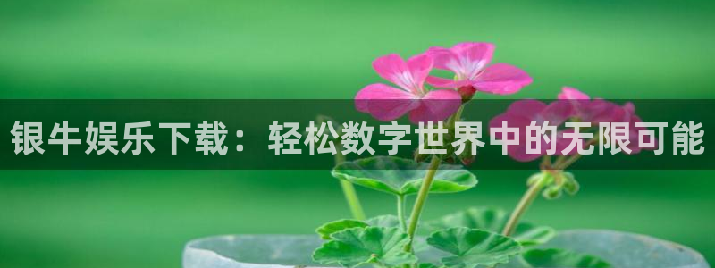 壹号app下载：银牛娱乐下载：轻松数字世界中的无限可能