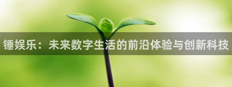 星辉平台app下载官网：锤娱乐：未来数字生活的前沿体验与创新科技