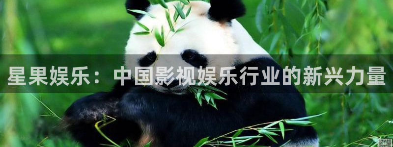 星辉平台是啥