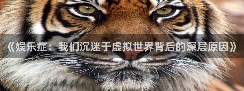 星辉平台平台登录：《娱乐症：我们沉迷于虚拟世界背后的深层原因》