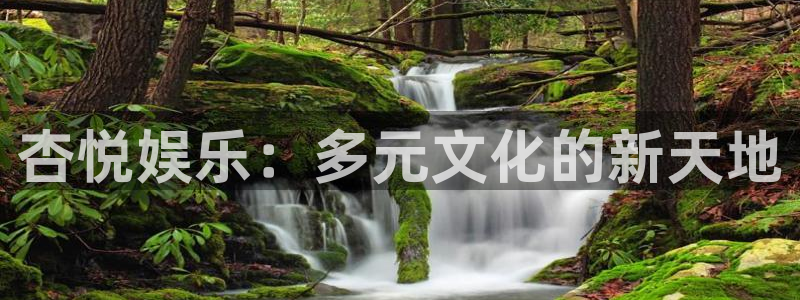 壹号大舞台,有梦你就来：杏悦娱乐：多元文化的新天地