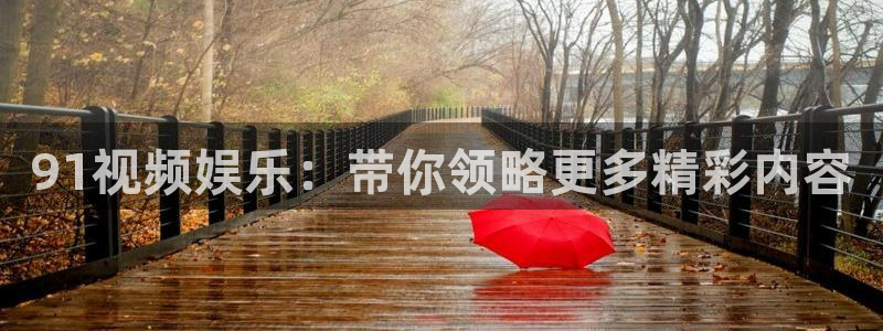 壹号国际app免费下载安装：91视频娱乐：带你领略更多精彩内容