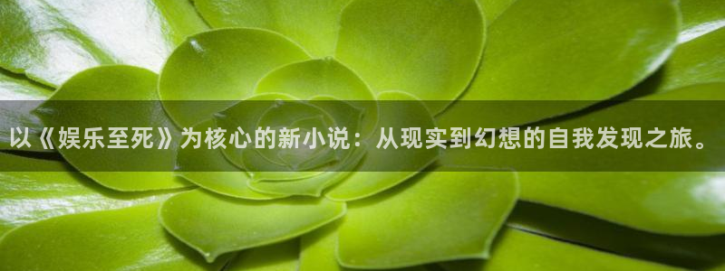 星辉平台.ccmpc29官网版下载：以《娱乐至死》为核心的新小说：从现实到幻想的自我发现之旅。