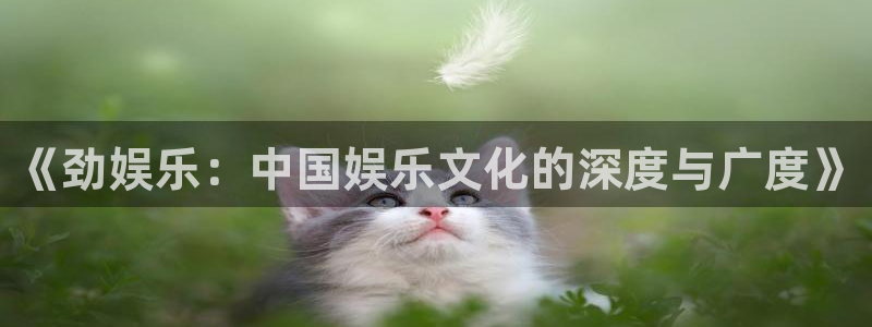 星辉平台app：《劲娱乐：中国娱乐文化的深度与广度》