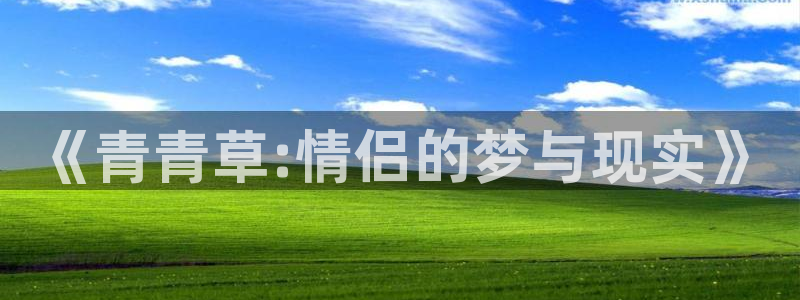 星辉平台下载链接是多少：《青青草:情侣的梦与现实》